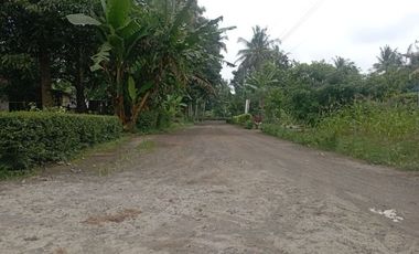 Kavling Dekat Pantai Jatimalang Skema Bayar Mudah Jalan Jogja