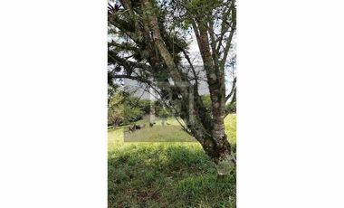 Hermoso terreno campestre con espectacular vista en Xico, Veracruz