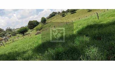 Hermoso terreno campestre con espectacular vista en Xico, Veracruz