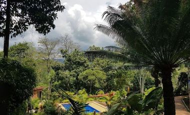 VENTA de FINCAS en LA MESA