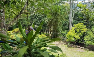 VENTA de FINCAS en LA MESA