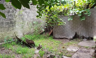CASA EN LOTE PROPIO DE 10X34 mts, 3 AMBIENTES + CONSTRUCCIÓN AL FONDO PARA REFACCIONAR O RECICLAR