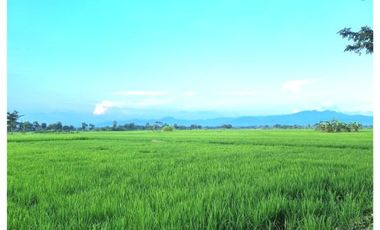 Tanah Dijual di Purworejo, dekat Bandara YIA