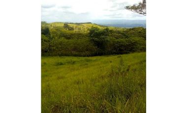 VENTA FINCA MARGARITA DE CHEPO