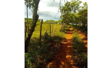 VENTA FINCA MARGARITA DE CHEPO