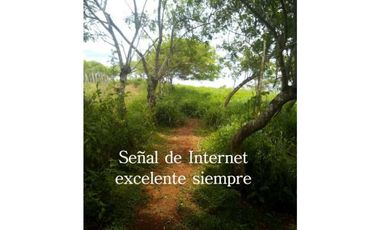 VENTA FINCA MARGARITA DE CHEPO