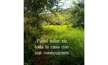 VENTA FINCA MARGARITA DE CHEPO