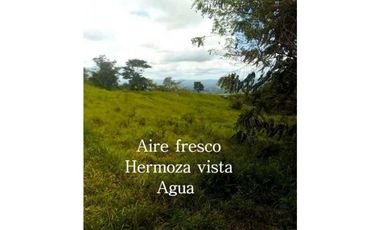 VENTA FINCA MARGARITA DE CHEPO