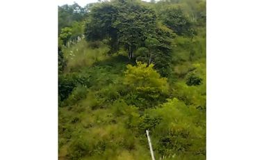 VENTA FINCA MARGARITA DE CHEPO