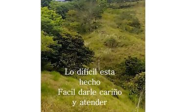 VENTA FINCA MARGARITA DE CHEPO