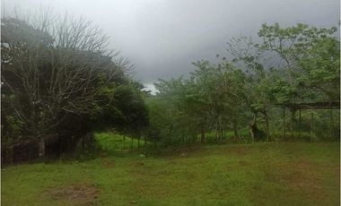 VENTA FINCA MARGARITA DE CHEPO