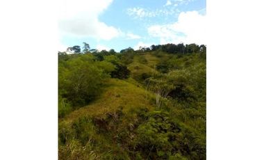 VENTA FINCA MARGARITA DE CHEPO