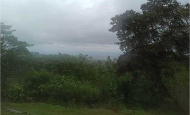 VENTA FINCA MARGARITA DE CHEPO