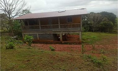 VENTA FINCA MARGARITA DE CHEPO