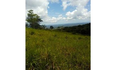 VENTA FINCA MARGARITA DE CHEPO