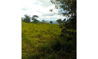 VENTA FINCA MARGARITA DE CHEPO