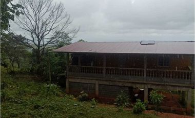 VENTA FINCA MARGARITA DE CHEPO