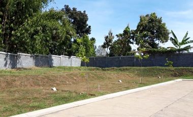 Dijual Tanah Di Taman Dayu Cluster The Saguara Resort Pandaan