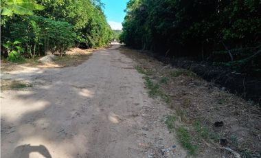 Casa en venta - Banda de Shilcayo - Las Palmas