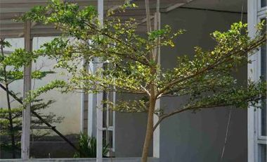 JUAL RUMAH CLUSTER DI SALATIGA DEKAT KAMPUS UKSW DAN NYAMAN LOKASI HOOK