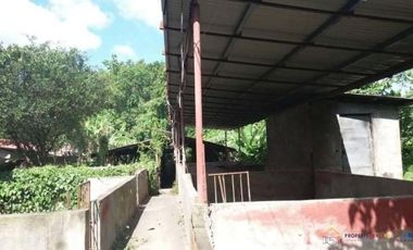 Rush Sale! Farm Lot for Sale with Small House and Fruit Bearing Trees in Mataas na kahoy, Batangas