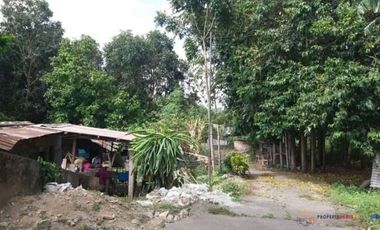 Rush Sale! Farm Lot for Sale with Small House and Fruit Bearing Trees in Mataas na kahoy, Batangas