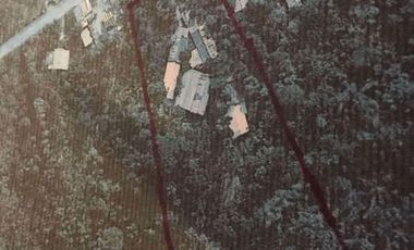 Rush Sale! Farm Lot for Sale with Small House and Fruit Bearing Trees in Mataas na kahoy, Batangas