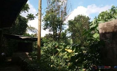 Rush Sale! Farm Lot for Sale with Small House and Fruit Bearing Trees in Mataas na kahoy, Batangas