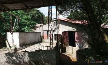 Rush Sale! Farm Lot for Sale with Small House and Fruit Bearing Trees in Mataas na kahoy, Batangas