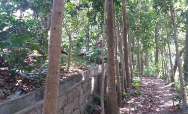 Rush Sale! Farm Lot for Sale with Small House and Fruit Bearing Trees in Mataas na kahoy, Batangas