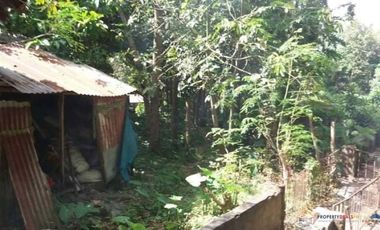 Rush Sale! Farm Lot for Sale with Small House and Fruit Bearing Trees in Mataas na kahoy, Batangas