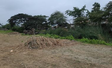 Terreno en Venta Vía a Salitre