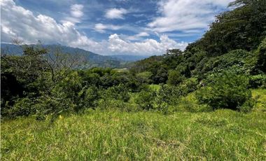 VENTA LOTE VENECIA SUROESTE DE ANTIOQUIA