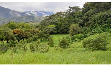VENTA LOTE VENECIA SUROESTE DE ANTIOQUIA