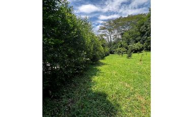 VENTA LOTE VENECIA SUROESTE DE ANTIOQUIA