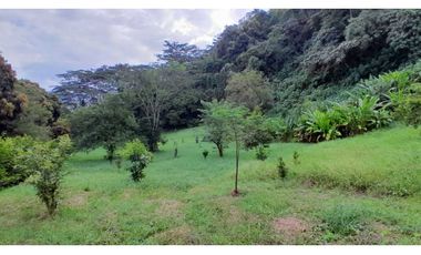 VENTA LOTE VENECIA SUROESTE DE ANTIOQUIA
