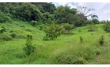 VENTA LOTE VENECIA SUROESTE DE ANTIOQUIA