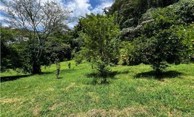VENTA LOTE VENECIA SUROESTE DE ANTIOQUIA