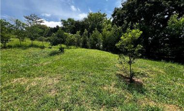 VENTA LOTE VENECIA SUROESTE DE ANTIOQUIA