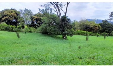 VENTA LOTE VENECIA SUROESTE DE ANTIOQUIA