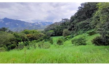 VENTA LOTE VENECIA SUROESTE DE ANTIOQUIA