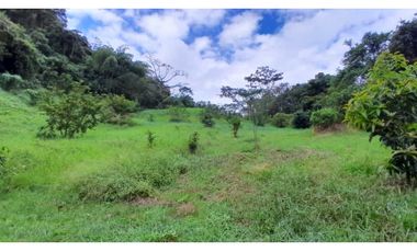 VENTA LOTE VENECIA SUROESTE DE ANTIOQUIA