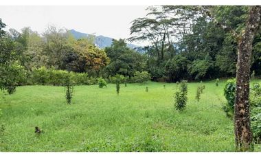 VENTA LOTE VENECIA SUROESTE DE ANTIOQUIA