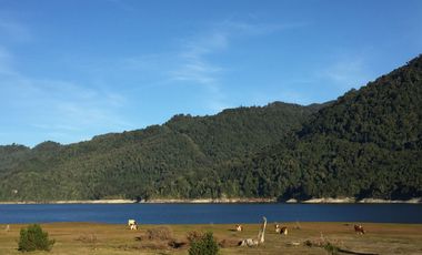 PARCELAS A 30KM DE PUERTO MONTT Y A 10KM LAGO CHAPO