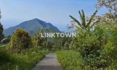 Dijual tanah 6,5ha (651,20 are) di kawasan wisata TURYAPADA TOWER dekat Bedugul Bali