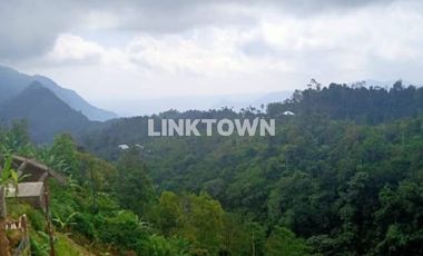 Dijual tanah 6,5ha (651,20 are) di kawasan wisata TURYAPADA TOWER dekat Bedugul Bali