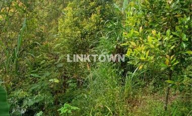 Dijual tanah 6,5ha (651,20 are) di kawasan wisata TURYAPADA TOWER dekat Bedugul Bali