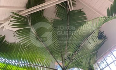Casa en  CABURE E/LAUREL Y LAMBERTINA