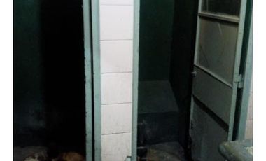 Galpón 500m2 S/lote 8,66x43 Con Trifasica Y Gas