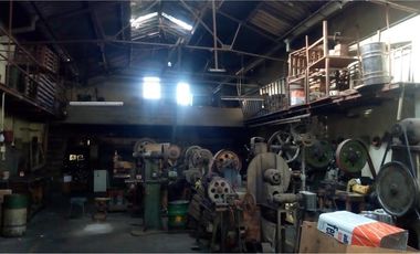 Galpón 500m2 S/lote 8,66x43 Con Trifasica Y Gas